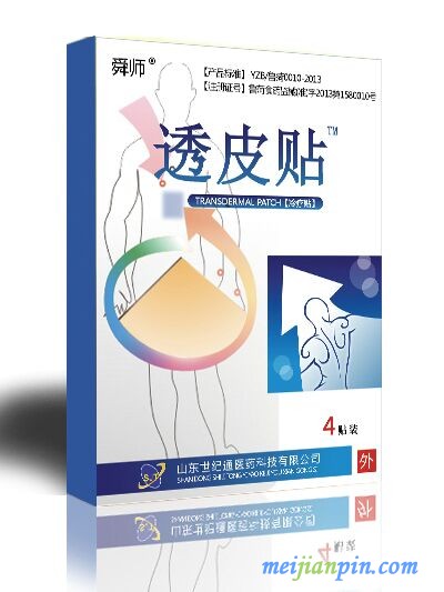 沙蒿子透皮贴