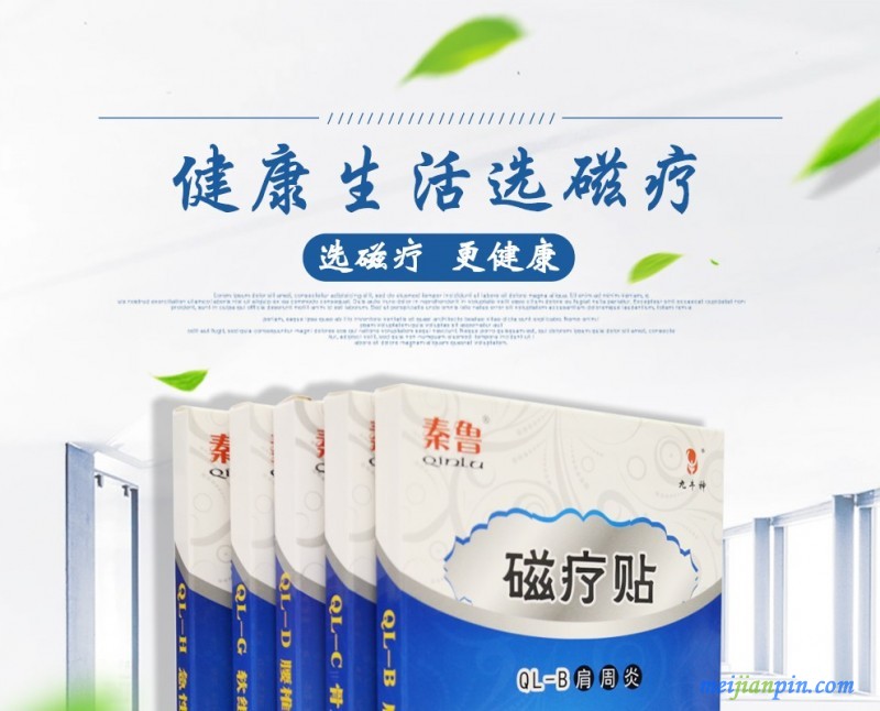 秦鲁  磁疗贴   1