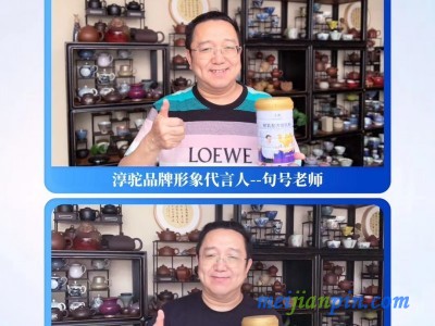 新疆淳驼益生菌驼奶粉