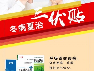 三伏贴生产厂家 批发代工