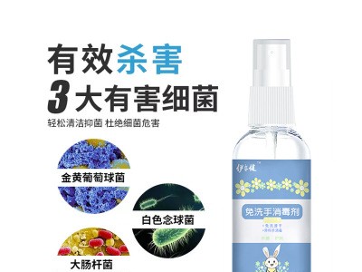 厂家直销免洗手消毒液喷剂 免洗手便携带随身酒精喷雾代加工贴牌