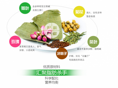 冬瓜荷叶茶 三角包茶 花草茶 花草茶OEM代加工 厂家直销