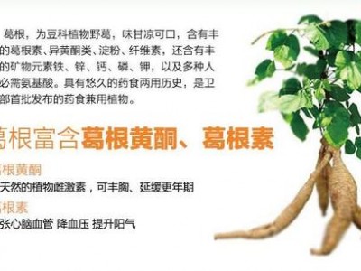 葛根乌梅压片糖果葛根乌梅压片糖果OEM定制