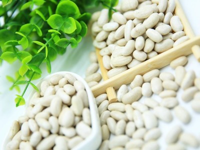白芸豆固体饮料粉剂