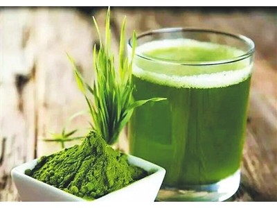 OEM定制麦绿素固体饮料代加工大麦嫩苗青汁粉贴牌