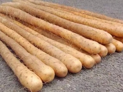 红豆山药芡实薏米粉oem定制代加工饱腹代餐食品源头加工厂家