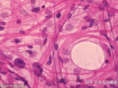 枸杞雪莲胶原蛋白饮品代加工贴牌ODM定制