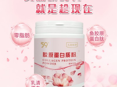 九港集团胶原蛋白质粉固体饮料