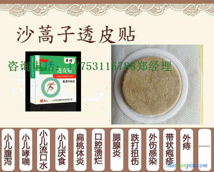 沙蒿子透皮贴