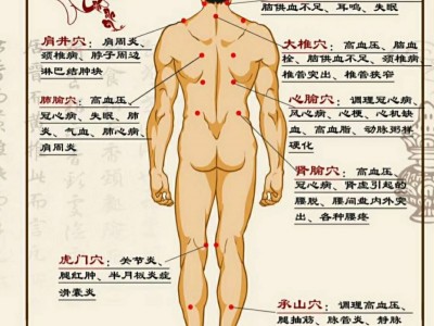 孔圣养宝拔罐4888套餐 舜师拔罐套餐批发代理