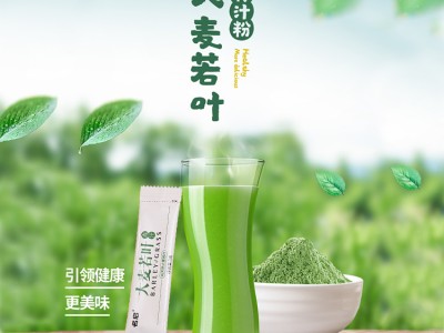 大麦青汁 排毒养颜 大麦青汁OEM代加工