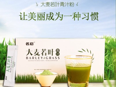 大麦青汁 排毒养颜 大麦青汁OEM代加工