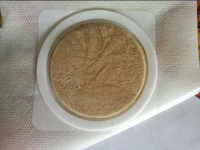 代加工沙蒿子饼透皮贴厂家