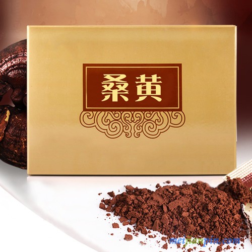 桑黄 (2)