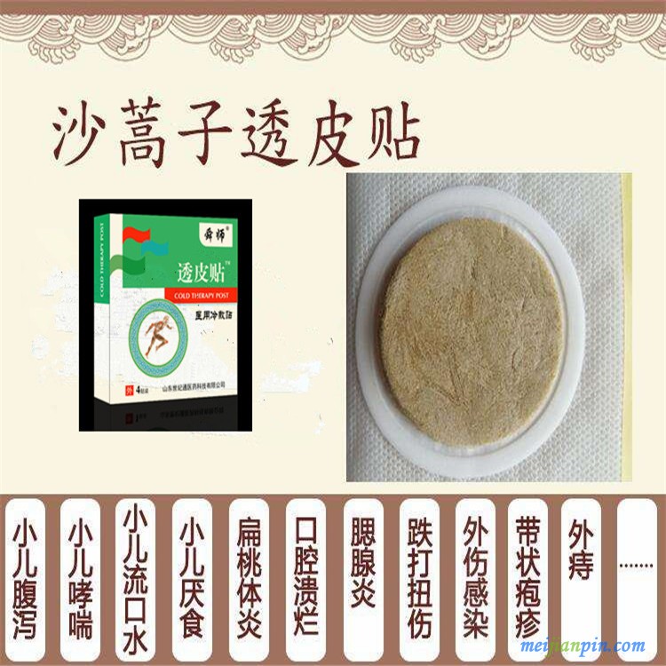 沙蒿子透皮贴