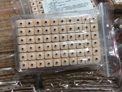 王不留行籽是什么 耳穴贴是做什么用的功效怎么样