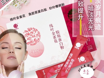 哈高科 线叶金雀花 胶原蛋白粉