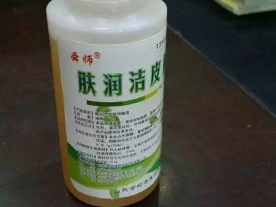 舜师沙蒿子透皮贴供应批发 透皮贴OEM贴牌定制厂