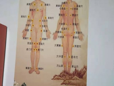 川坤拔罐价格  加盟代理