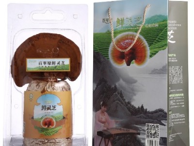 百翠原富硒新鲜灵芝