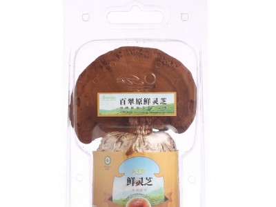 百翠原富硒新鲜灵芝