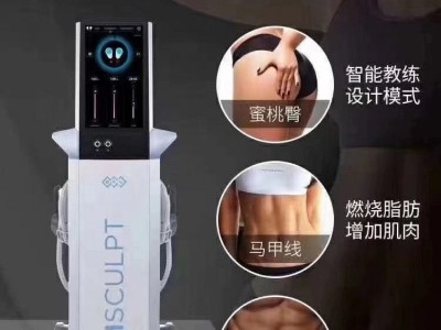 美修斯BTL官网卡戴珊同款增肌减脂塑性美修斯多少钱多久做一次