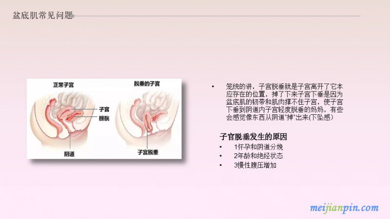 幻灯片8