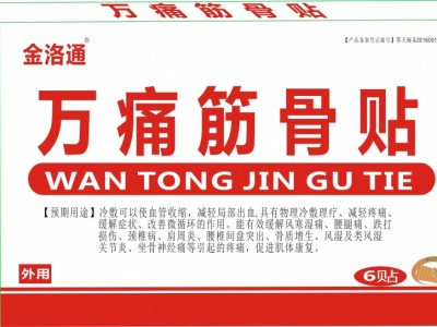 金洛通 万痛筋骨贴