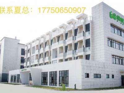 蒲公英三清饮-漳州绿优品食品科技有限公司