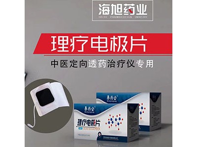 理疗电极片批发 理疗电极片厂家 理疗电极片价格