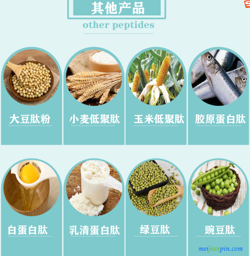 通用