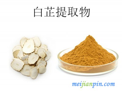 白芷提取物