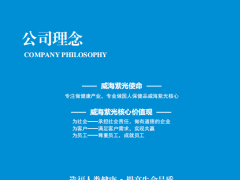 威海紫光OEM
