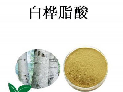 厂家现货  白桦脂酸