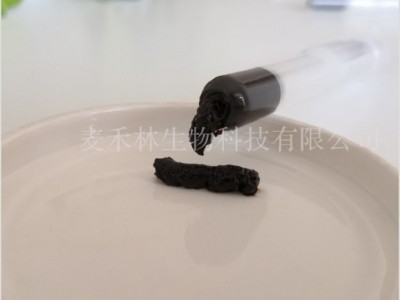 西安男性私护护理凝胶男用凝胶男士私护护理私密OEM加工定制