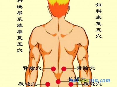 湖北械字号瘦身贴