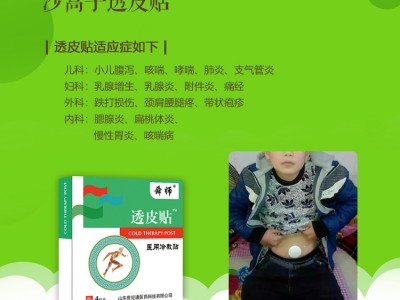 河北沙蒿子透皮贴