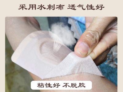 河北沙蒿子透皮贴