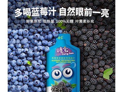 瞳宝黑莓蓝莓果浆提取物果蔬汁