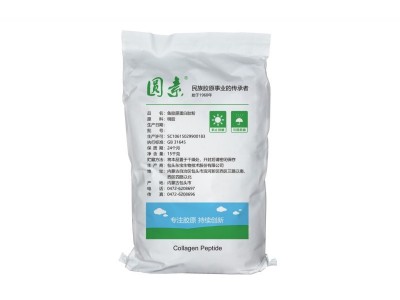 鱼胶原蛋白肽粉原粉