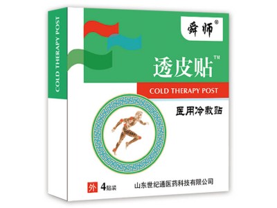 沙蒿子透皮贴