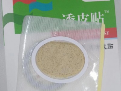 沙蒿子透皮贴