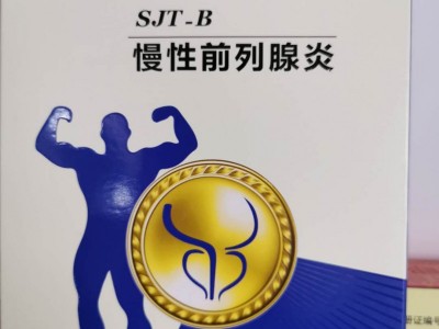 山东沙蒿子透皮贴