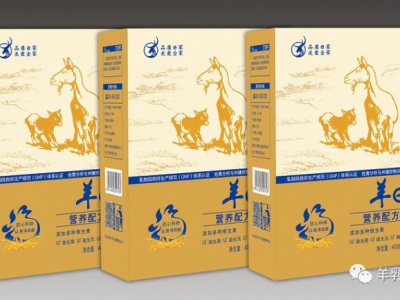 羊e家营养配方羊奶粉