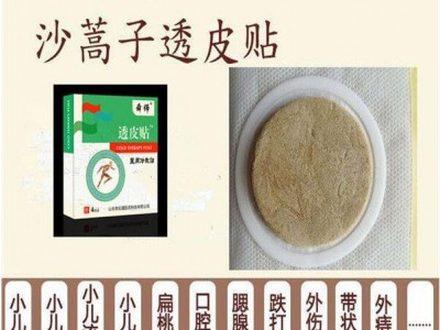 亚宝同款透皮贴代理批发 沙蒿子透皮贴厂家oem代加工