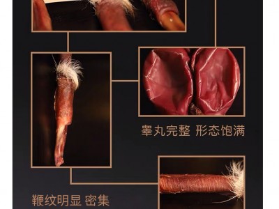 虫草鹿鞭王功效与作用（鹿鞭效果怎样食用方法有哪些）