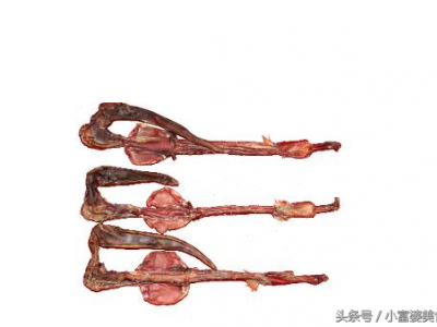 人参鹿鞭片的功效与作用吃法（人参鹿鞭片有什么功效）