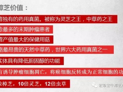 牛樟芝功效与作用（牛樟芝粉正确的服用方法）