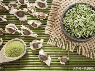 辣木叶的功效与作用（辣木的3大营养价值）