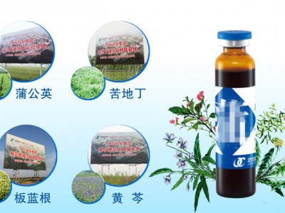 蒲地蓝消炎片怎么样（蒲地蓝消炎片治感冒吗）